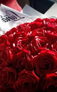 دسته گل رز قرمز