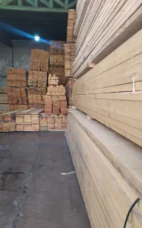 فروش چوب و تخته روسی راش و چنار خشک مخصوص نجاری