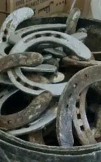 کارکرده اسب و رزق و روزی