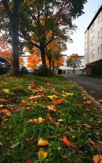 خدمات تایپ و مدیریت پیام (دورکاری)