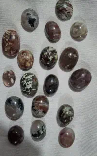گردنی حقیق