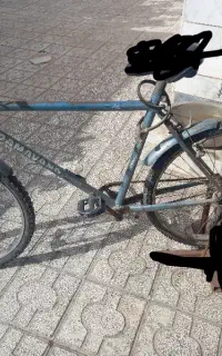 مجسمه دوچرخه دماوند