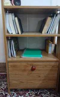 شلف و کتاب خونه