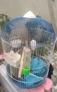 قفس با پایه