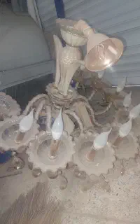 دوعدد لوستر