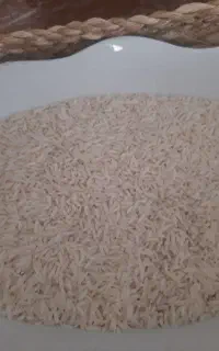 برنج طارم مازندران