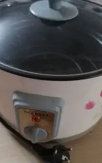 سرخ کن  با روغن