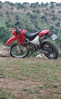 موتور تریل 250cc