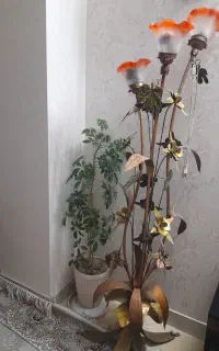 آباژور
