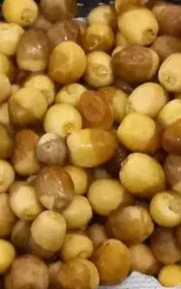 فروش رطب برحی
