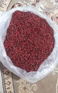 زرشک قائنات