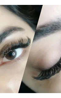 اجاره لاین مژه