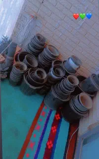 گلدان پلاستیکی