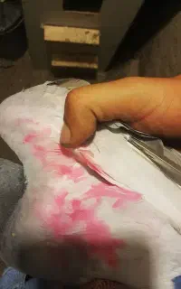 دوبر توضیحات بخون