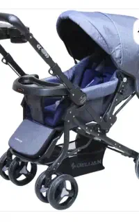 کالسکه و کریر دلیجان