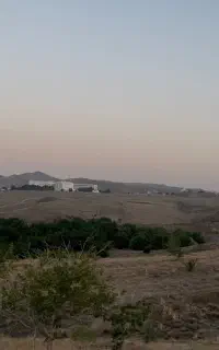 زمین   امام رضا ۱۷