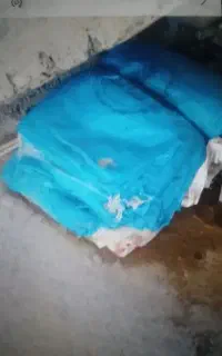 گونی جابذر