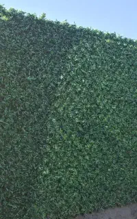 فروش فنس چمنی