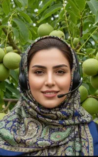 فروش نهال گردو بادام صنوبر نیگرای ترکیه پسته سیب