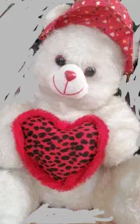 خرس سفید