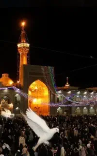 تور گردشگری مشهد مقدس