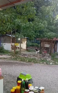 کافه توسکا توسکستان جذب نیرو