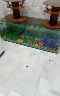 فروش آکواریوم