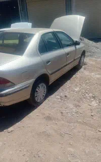 سمند معمولی ۸۴