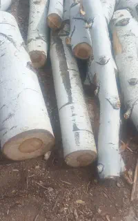 خرید چوب