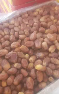 خرما زاهدی