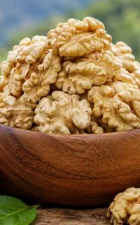 فروش عمده و خورده گردو مرغوب ودرجه یک اورامانات