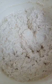 ترخینه خیس
