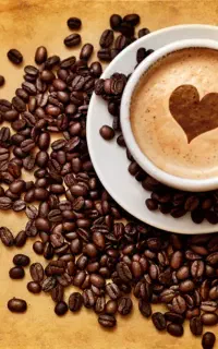 پخش قهوه چای پودریجات شکلات نبات  هل اکبر