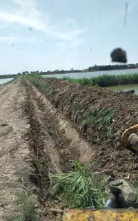 بیل بکهواجاره ای