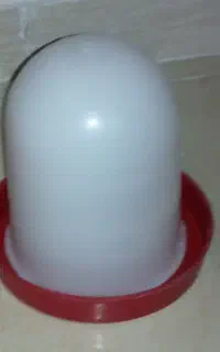 آب خوری ودون خوری