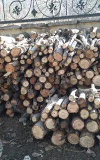 چوب شومینه ای