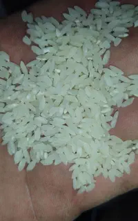 برنج شمشیری