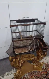 قفس دست ساز