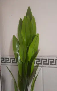 درخچه ی شیک بابرگ  های طبیعی  چرمی قابل شستشو شو