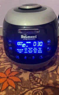 پلوپز ۲۰کاره لمسی دلمونتی