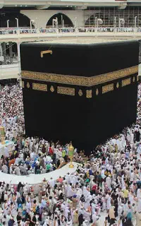 نقل و انتقال فیش حج عمره و تمتع