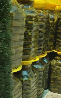 خیارشورویژه