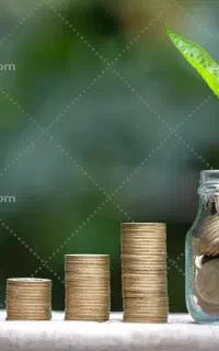 350تومن سرمایه گذاری