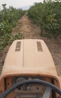 کار با تیلر گلدونی