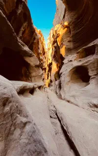 گشت و تور جزیره قشم