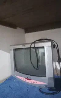 تلویزیون