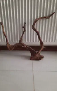 چوب آبنوس