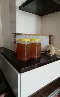 عسل گون الیگودرز