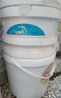 دبه خیارشوری وسطل بفروش میرسد