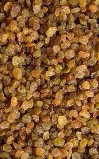 خرید انگوری